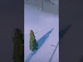 Epic #epicgameplay #youtubeshorts #gaminghindi #adventuretime #gamechallenge #skiingadventure #snow