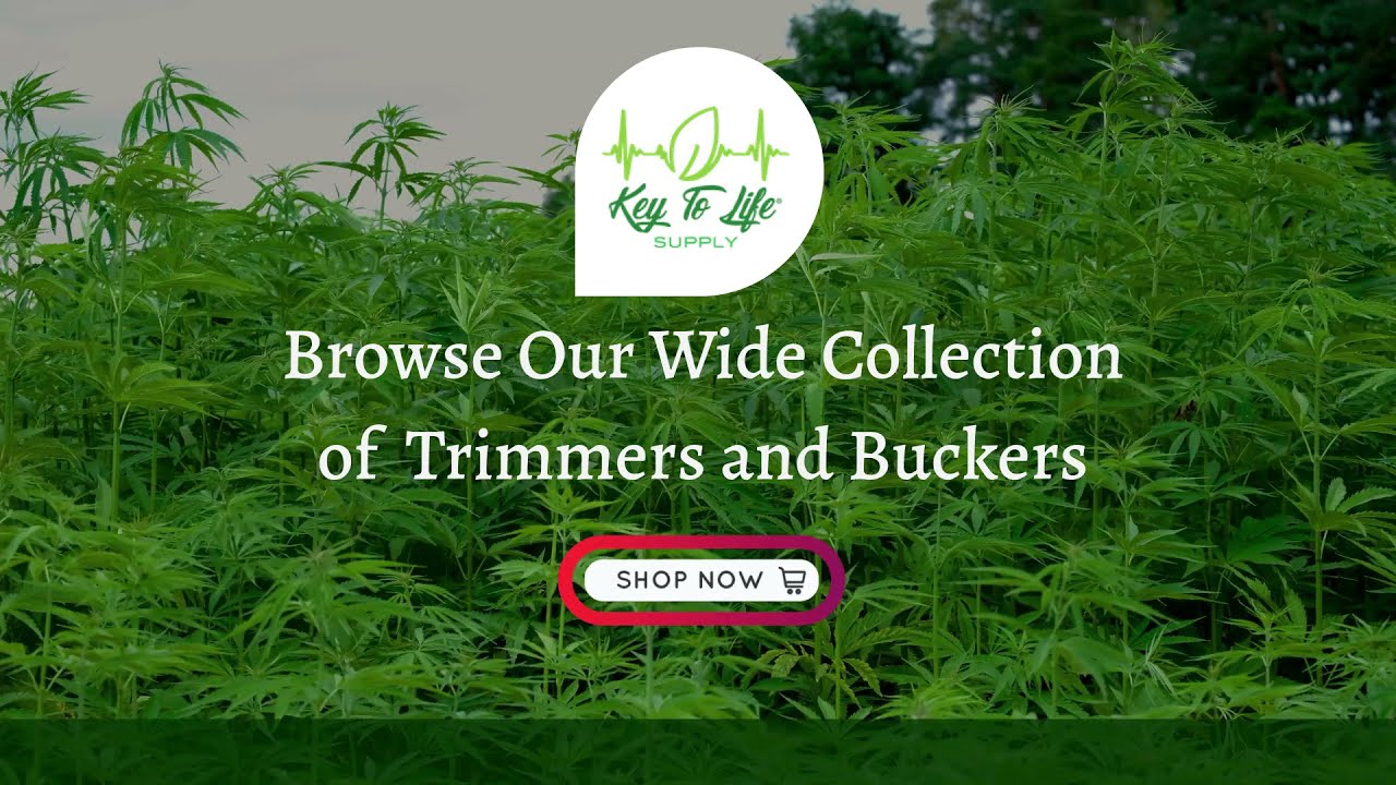 Our Hemp & Cannabis Harvesting Solutions | Key To Life Supply