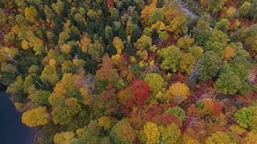 Synonym, Si-Klon, Sub-con5cience - Interconnected Synthesis