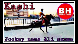 Indian Rewal Horse Kashi jockey 🏇 Ali samma Att Nawsari Guj
