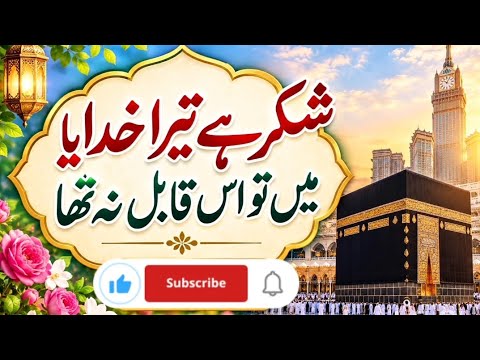 شکر ہے تیرا خدایا، میں تو اس قابل نہ تھا | دل کو چھو لینے والی خوبصورت نعت | Naat Sharif
