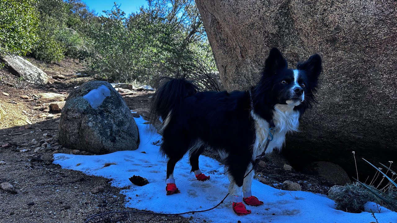 The Pacific Crest Trail Section A: MM116 to MM129