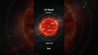 The Star Bigger Than Earth's Orbit #aerospace #space #spacesuccess #universe #spacexstarship #fyp