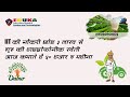 Hydroponics Cultivation  | Best Futuristic Business