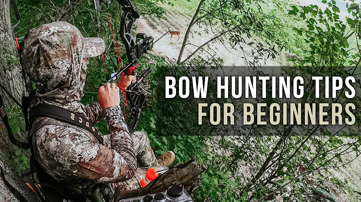 Bow Hunting Tips for Beginners