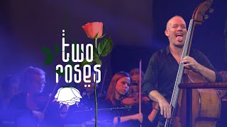 Avishai Cohen - Two Roses - Album trailer