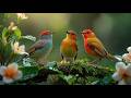 Relaxing Piano Music with Bird Sounds | Soothing Nature Sounds for Relaxation
