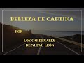 BELLEZA DE CANTINA/CARDENALES DE NUEVO LEÓN/LETRASJV
