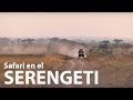 Safari en el Serengeti -TANZANIA