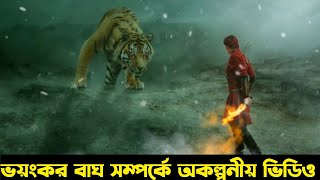 এমন ভয়ংকর ভিডিও দেখার আগে  সাহস রাখুন।দুর্বল হৃদয় মানুষ এই ভিডিও দেখবেন না। How to Tiger attack