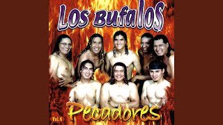 Video thumbnail of "Los Búfalos - Cerveza del Olvido"