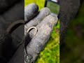 Metal Detecting Find Old Gold Jewelry Earring