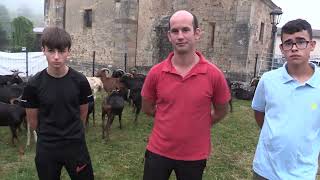 Ganaderos en su habitat | Cabras, ovejas y yeguas | 23.8.2025