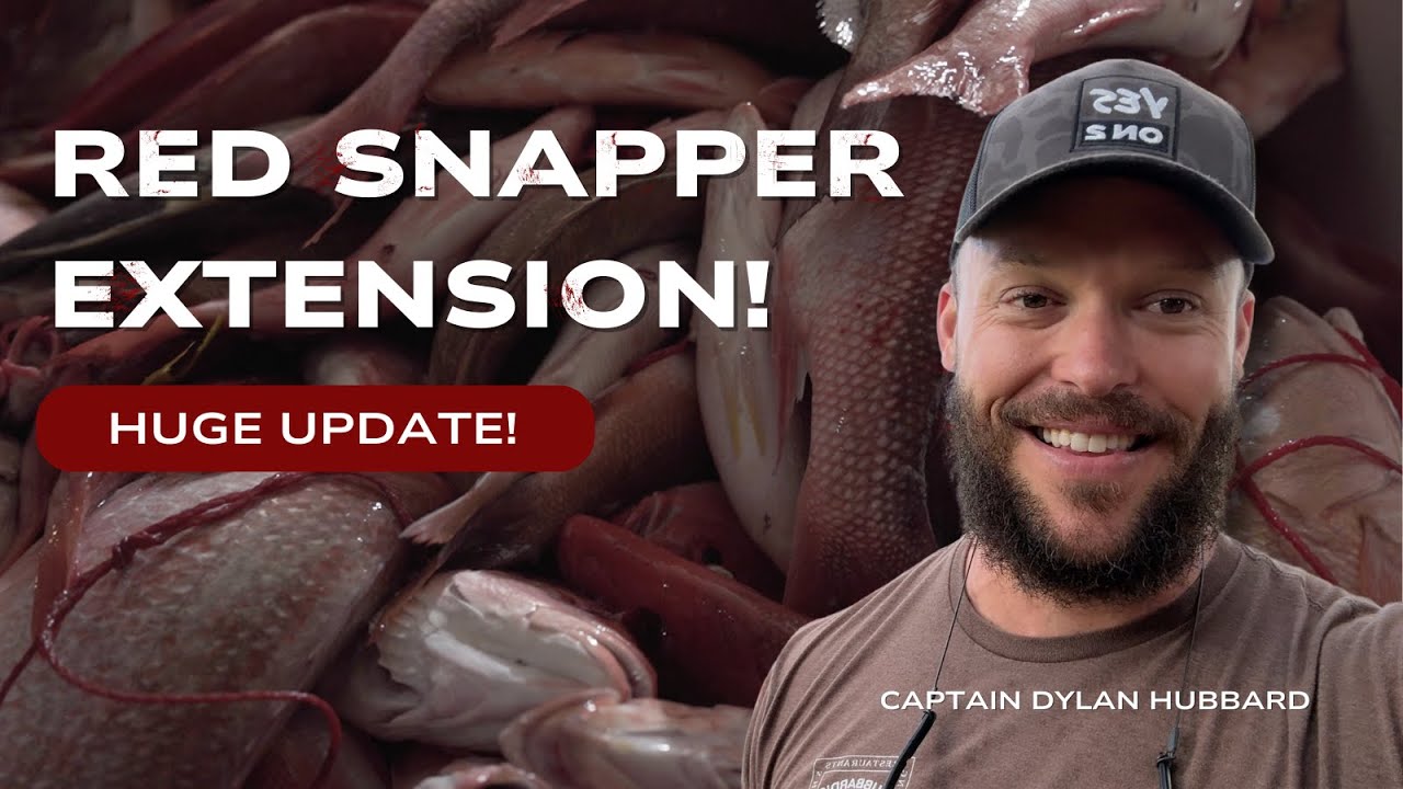HUGE UPDATE! - Red Snapper Season Extended! ADDING MORE TRIPS… BOOK NOW ...