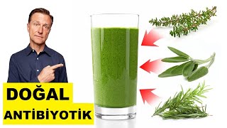 En İyi Doğal Antibiyotik İçeceği (Ev Çözüm Formülü) - Dr. Berg Türkçe