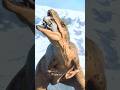 キアンゾウサウルスが苦しそうにヤギを食べていた/Kianzosaurus was eating a goat in pain. Jurassic World Evolution 2