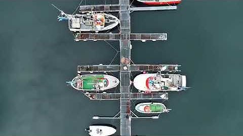 تلاوة عذبة من سورة القصص القارئ محمد الجعيدي