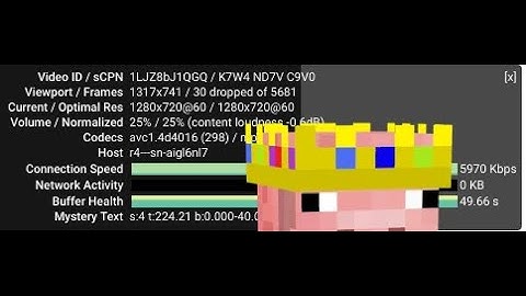 Stats For Nerds (Nintendo Switch YouTube Option)