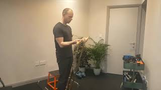 bicep curl (strap)