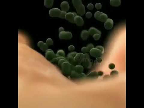 НОСВОЙ - YouTube