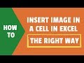 How to Insert Image in Excel Cell (Step-by-Step Guide)