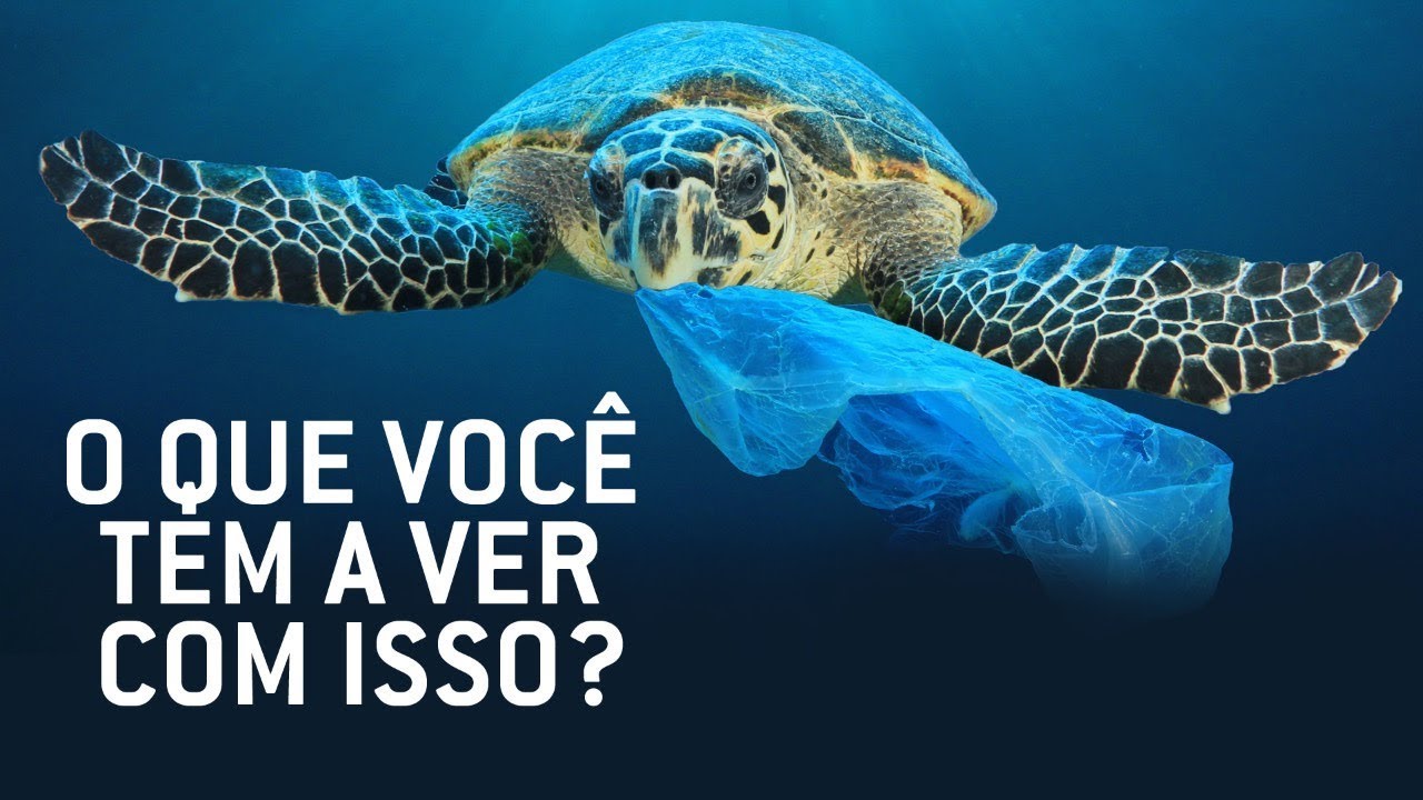 Redação Sobre Impactos Do Lixo Plástico No Meio Ambiente - NAZAEDU
