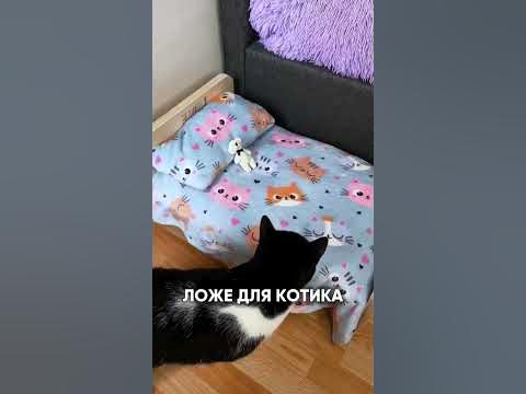 ДОМИК ДЛЯ КОТИКА - YouTube