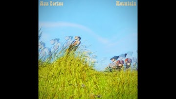 AUX PORTES - Mountain, Pt. 4