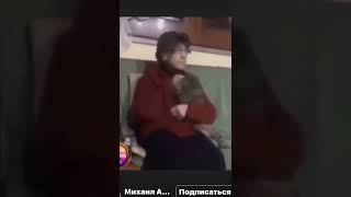 Кошки успокаивают нервы 😬