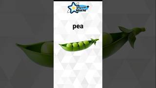 Guess the Vegetable Name! 🥕 Fun Learning for Kids #kids #fun #education