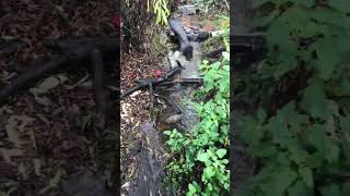 Ecotones Land Stewardship