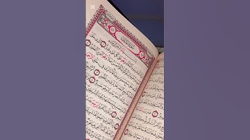 السوره المنجيه من عذاب القبر 👌