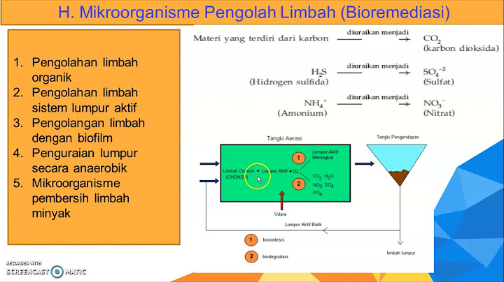 Minuman fermentasi dari bahan dasar susu melalui penerapan bioteknologi disebut