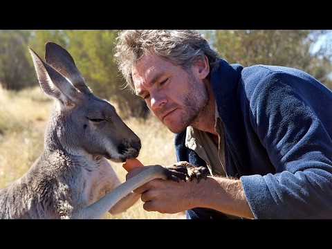 Vidéo: Caresser Les Kangourous Et L'alcool Durable: Le Meilleur D'Adélaïde, Australie
