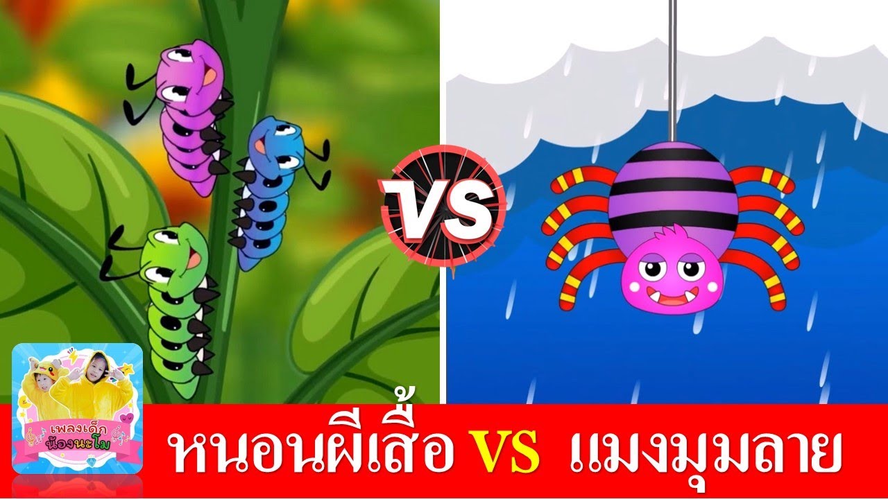 เพลงหนอนผีเสื้อ vs แมงมุมลายตัวนั้น | เพลงเด็กในตำนานเรียนรู้เรื่องสัตว์ | หนอนต้วมเตี้ยม | แมงมุม