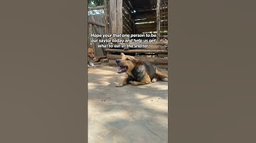 PayPal link in bio to help