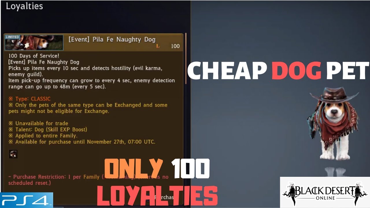 Cheap Dog Pet 100 Loyalties Black Desert PS4 YouTube
