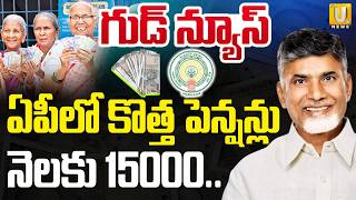 AP New Pension | Ntr Bharosa New Pensions List | కొత్త పెన్షన్లు నెలకు 15000 | CM Chandrababu | UTV