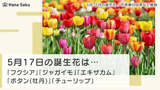 5月17日の誕生花 花言葉の由来 誕生日の有名人 何の日かも解説 Hanasaku