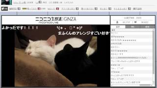 Download Lagu luz×まふまふ (Part.1) MP3 Download Lagu luz×まふまふ (Part.1) MP3