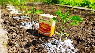 Baking soda is now the only salvation for your plants || Organic Gardening