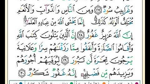 ختمة تلاوة لمصحف التجويد بصوت القارئ محمد حبش الصفحة رقم 437