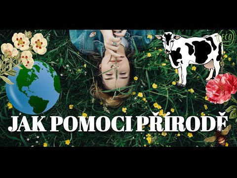 Video: Jak Můžete Pomoci Přírodě