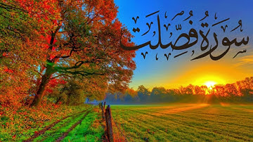 سورة فصلت - محمد كامل الخراط