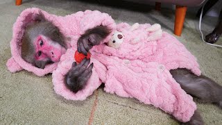 人間の「だらけグッズ」がお猿さんに効果がありすぎて驚いています（大汗）