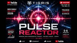 Tigris - Pulse Reactor 