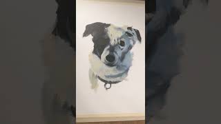 Boarder Collie oil painting on unstreched canvas #art #paintwithme #bordercollie #petportrait
