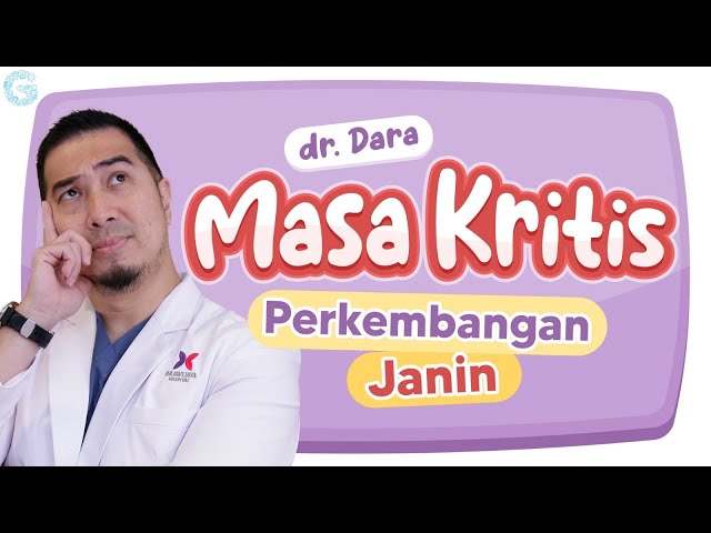 Perkembangan Janin Tiap Trimester, Ada Masa Kriitis! class=