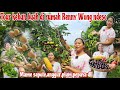Tour kebun buah rumah renny wong ndesobermacam buah di samping rumah panen buah plumanggur dll