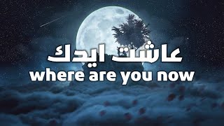 اجمل ريمكس اغنية اجنبية وعربية اكتر اغنية مطلوبة - اين انت الان- عاشت ايدك [where are you now] REMIX